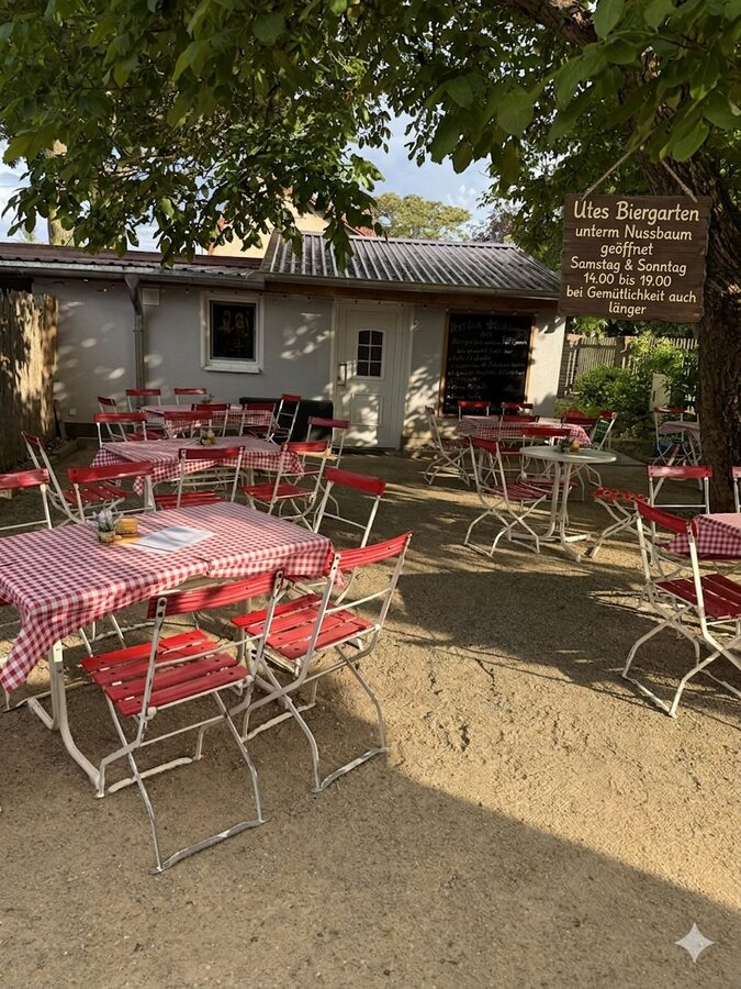 Biergarten vom Gasthof Zum Goldenen Stern in Halbe unter dem Nussbaum